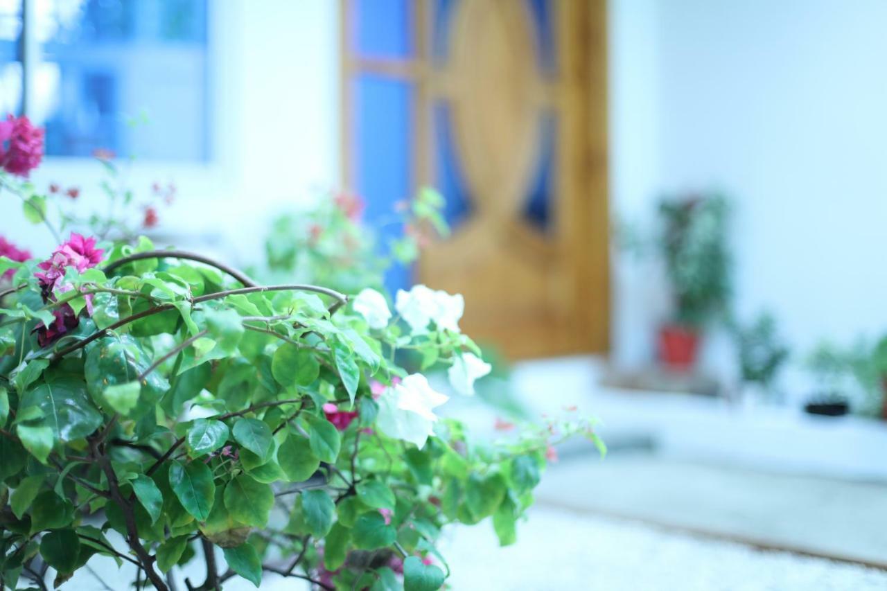 Moodhu Surf House Hotel Himmafusi Kültér fotó